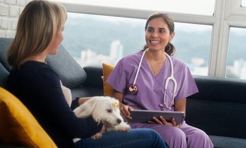 A Vet Tech’s Role in Client Education